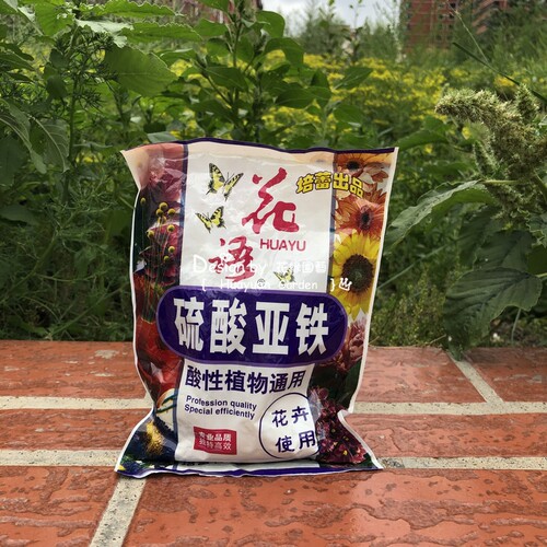 花缘咸菜 花肥*硫酸亚铁*铁肥*调节碱性土壤/防止黄化病30g - 图0