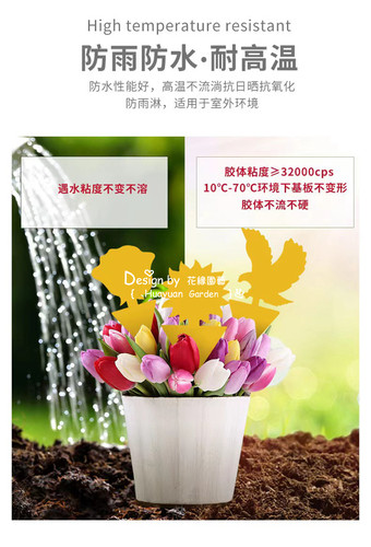 花缘咸菜 异型粘虫板 卡通粘虫板 黄板5个一组 - 图3