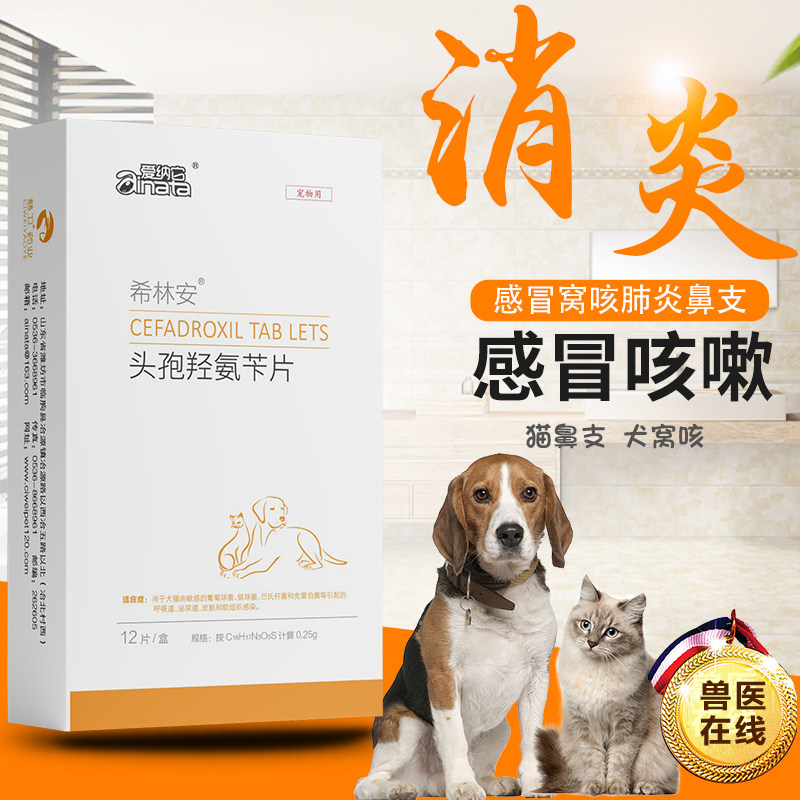 爱纳它头孢羟氨苄片幼犬小狗狗猫咪感冒药咳嗽流鼻涕打喷嚏消炎药