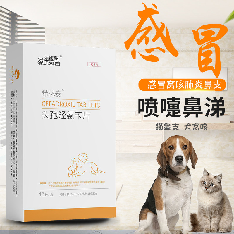 爱纳它头孢羟氨苄片幼犬小狗狗猫咪感冒药咳嗽流鼻涕打喷嚏消炎药