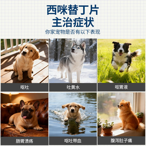 爱纳它宠物用西咪替丁片狗狗吐黄水呕吐吐白沫止吐药胃炎药止呕药 - 图1