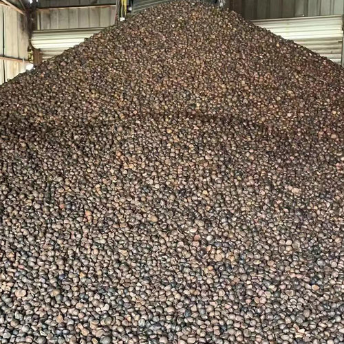 天之原农家自榨山茶油茶油茶籽油物理压榨食用油月子油5升一桶 - 图1