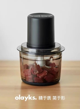 德国进口立时绞肉机家用电动小型