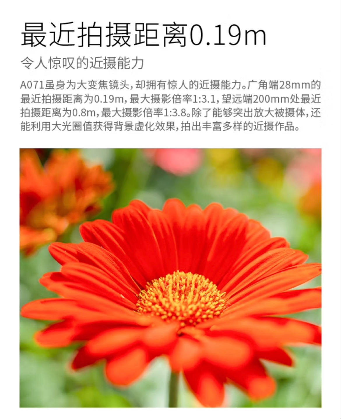 长焦镜头腾龙28-200mm F/2.8-5.6微单E卡口全画幅大变焦腾龙28200-图2