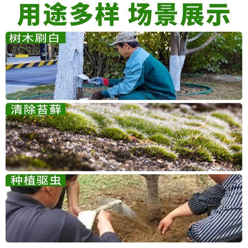 生石灰粉5斤干燥杀菌消毒除湿防潮防霉吸水驱虫净水除臭刷树刷墙 - 图2