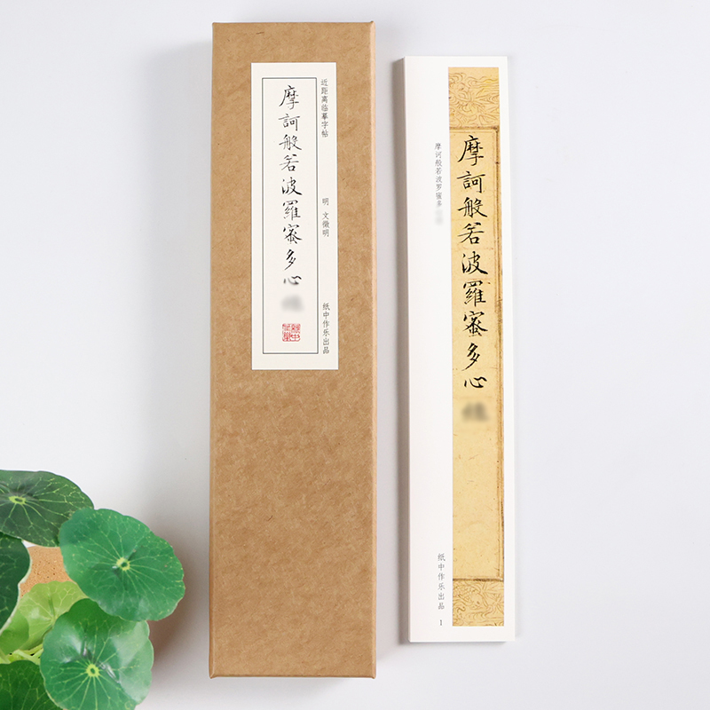 文征明 小楷《心静》般若波罗蜜描红原帖文徵明临摹毛笔书法近距离临摹字帖 - 图2