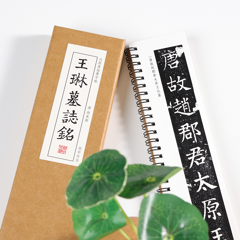 唐 颜真卿 楷书 《王琳墓志》楷书字帖碑刻本毛笔临摹书法成人练字小学生入门近距离对临字帖 纸中作乐 - 图2