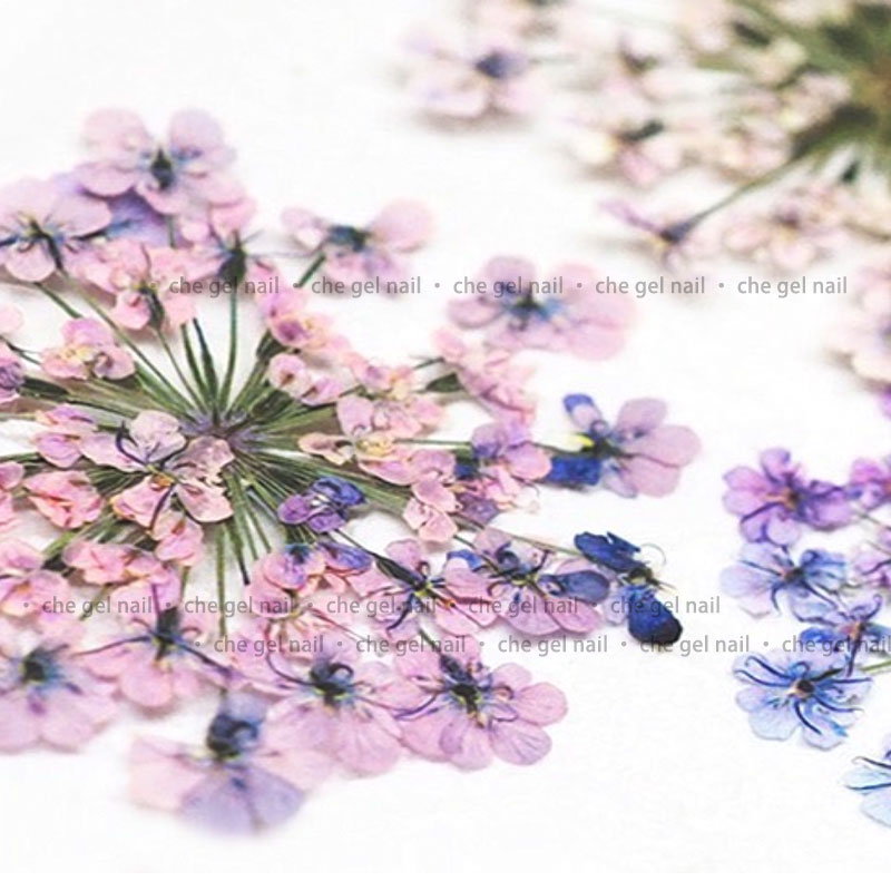 日系ins风美甲干花饰品小花瓣指甲花混色彩色蕾丝花美甲装饰真花 - 图1