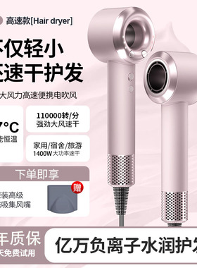 丽科负离子护发速干电吹风