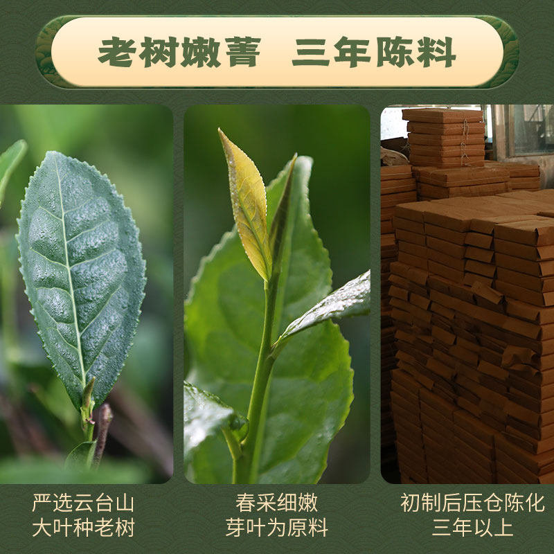  白沙溪安化黑茶