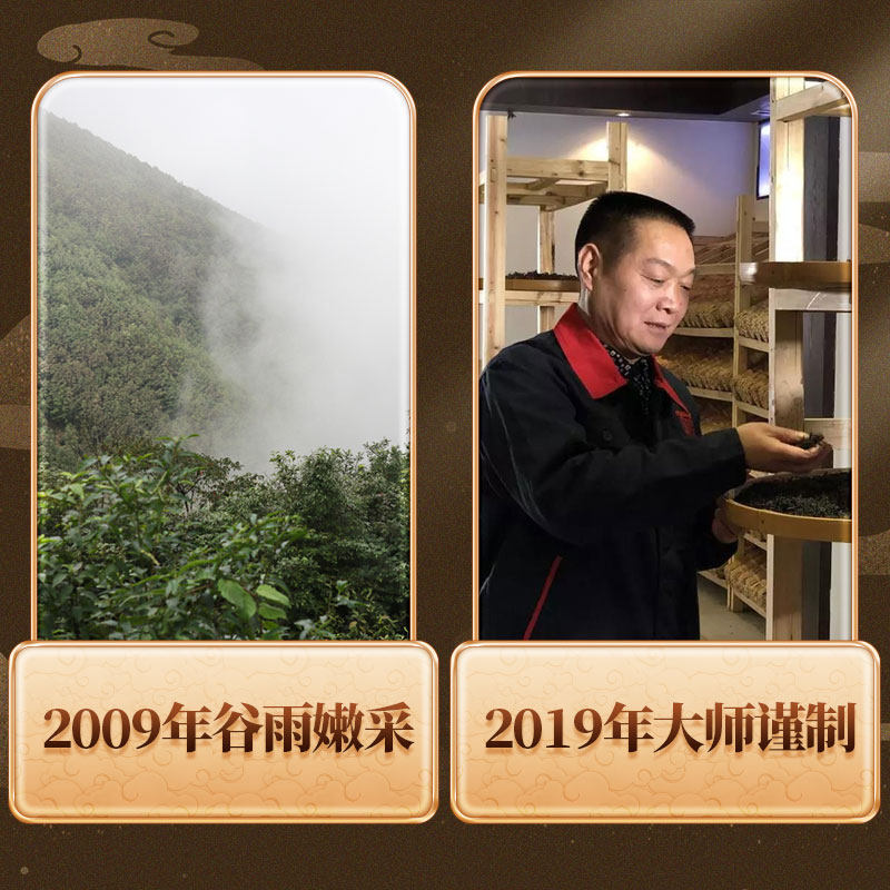 白沙溪荒山五龙檀2009年大师黑砖茶 白沙溪安化黑茶