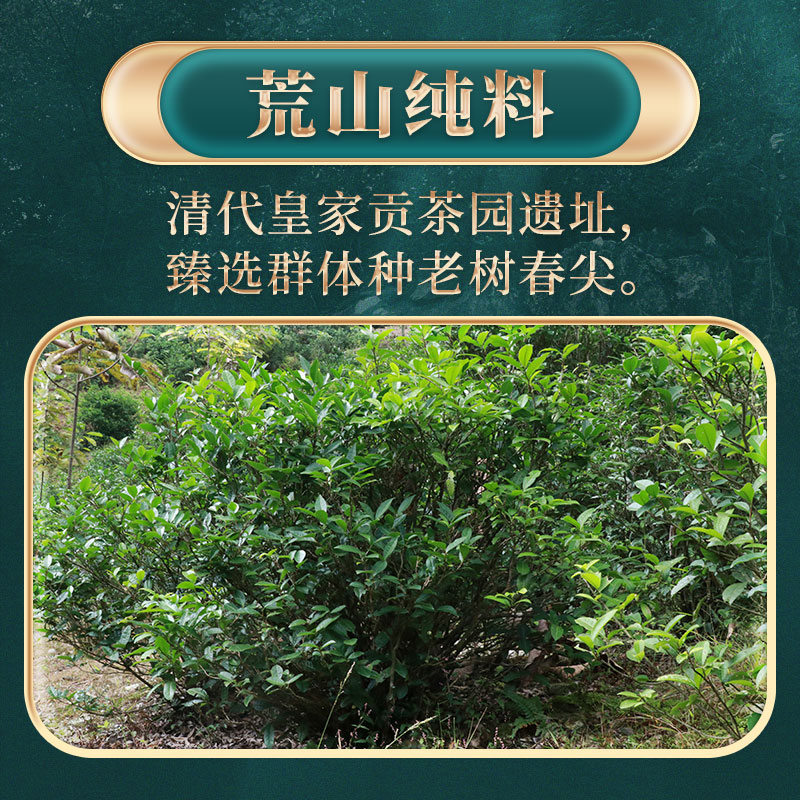 湖南安化黑茶正宗白沙溪正品皇家溪荒山金花茯砖茶林岚茯缘1kg-图1