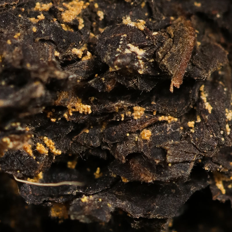 白沙溪黑茶湖南安化正品正宗金花茯砖茶2011年天茯茶1kg
