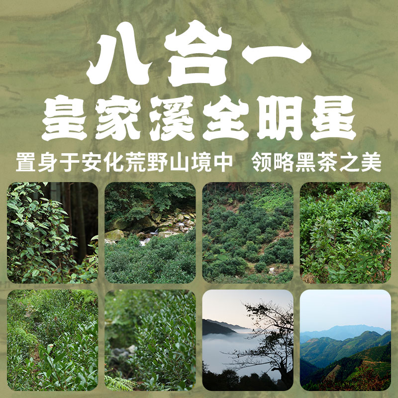 白沙溪湖南安化黑茶皇家溪大荒之美正品茯砖茶黑砖茶品鉴合集70g - 图1