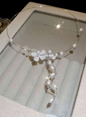 银色蝴蝶珍珠流苏项圈女2024新款爆款choker项链轻奢高级感颈链