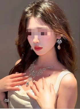 轻奢重工银色花朵项链耳环套装2025新款女新娘礼服配饰夸张锁骨链