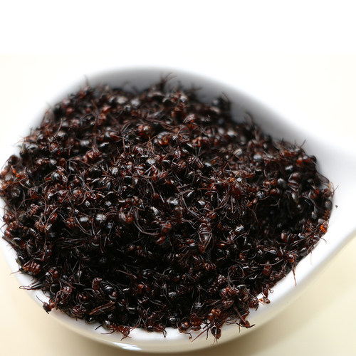 东北长白山黑蚂蚁泡酒500g蚁酸充足大山蚂蚁非拟黑多刺蚁干 - 图0