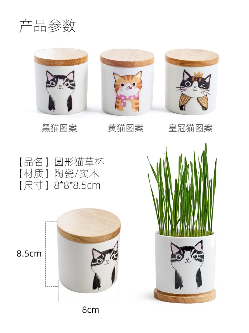 猫草种子盆栽土壤水培种植套装一杯猫草杯陶瓷小麦种