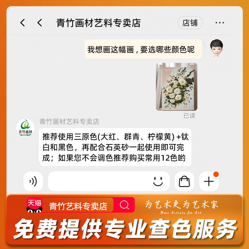 青竹丙烯颜料套装墙绘美术生专用无毒油画外防水防晒不掉色白色金色手绘diy材料石膏娃娃涂色鞋石英砂肌理画