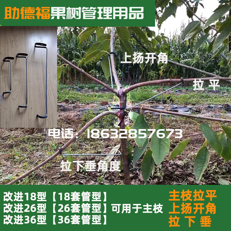 果树拉枝器定型神器弯枝器别枝扭枝开角基角拉干压枝工具苹果樱桃 - 图0