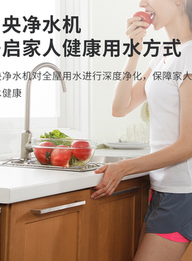 芬尼中央净水机大容量智能监控