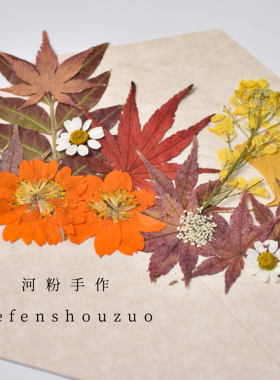 春日来信真花压花手工材料组合