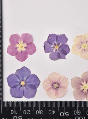 河粉手作福禄考压花相框装饰画