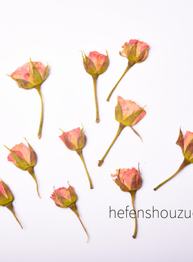 带枝侧压押花uv胶饰品相框玫瑰