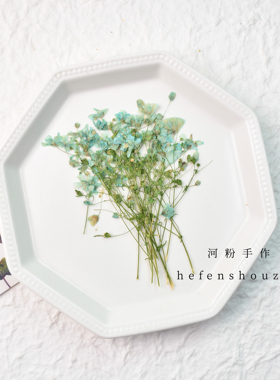 霞草真花押花手工diy材料