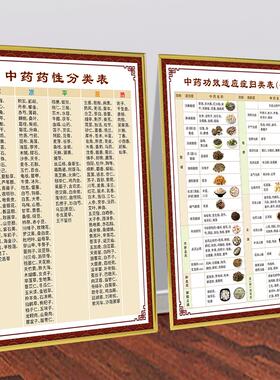 中医养生中药功效适应症归类分类表中药配伍禁忌中药药性应用挂图