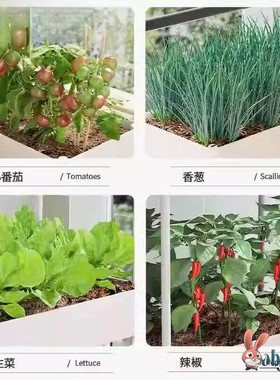 不占地多层种菜神器家庭阳台种植箱果蔬盆塑料花盆长方形槽顶楼家