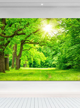 绿色森林装饰画客厅卧室墙挂画风景壁画树木树林书房护眼植物贴画