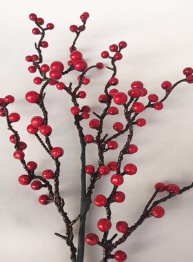插花新年家居客厅发财果