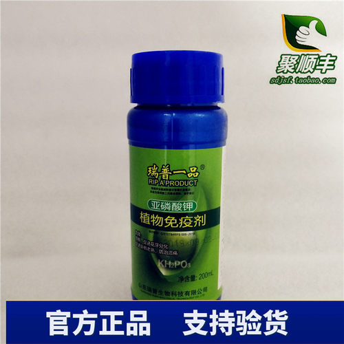 瑞普一品 亚磷酸钾 植物免疫剂 200ML 控梢 促进花芽分化 包邮 - 图1