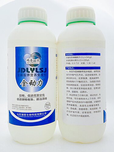 瑞普一品 亚磷酸钾 植物免疫剂 200ML 控梢 促进花芽分化 包邮 - 图3