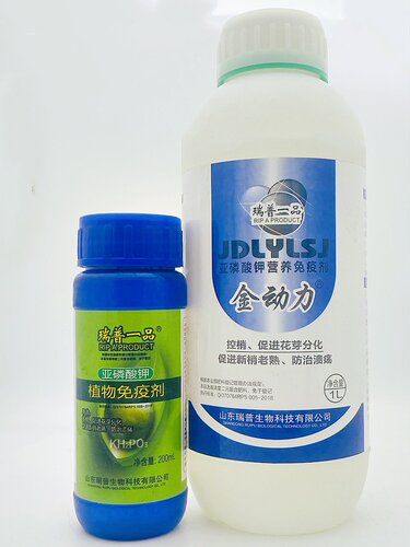 瑞普一品 亚磷酸钾 植物免疫剂 200ML 控梢 促进花芽分化 包邮 - 图2