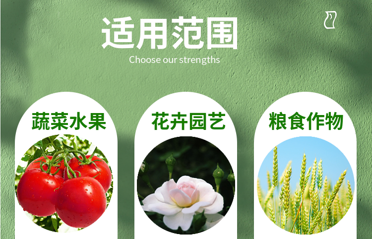 Bayer/拜耳   拿敌稳 肟菌·戊唑醇 早疫病 白粉病 斑点落叶病5克 - 图1