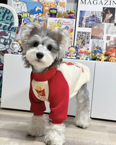 Осенняя утепленная хлопковая удерживающая тепло толстовка, круглый воротник