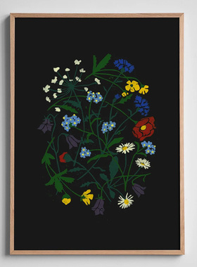 fine little day进口瑞典MARTAS CLOVER三叶草花卉植物小众装饰画