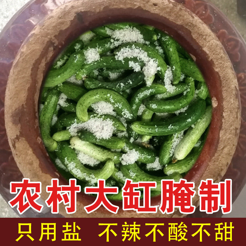 东北新腌制老式旱黄瓜咸菜农家新鲜腌制2025年下饭小菜吉林白山发,淘宝优惠券,粉丝福利购,淘宝优惠卷
