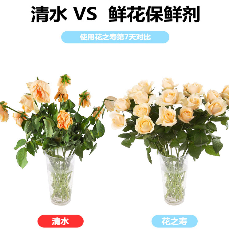 美国进口新款花之寿300粉剂营养液催开小袋粉剂鲜花保鲜剂奥赛斯,淘宝优惠券,粉丝福利购,淘宝优惠卷