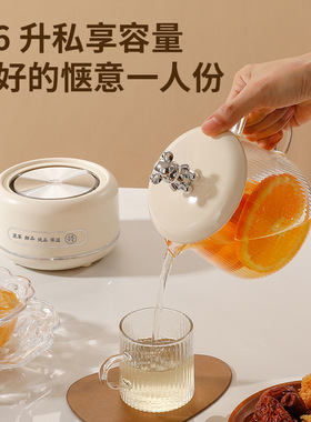 多功能家用养生壶办公室