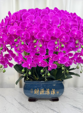 高端仿真蝴蝶兰花湿感仿真花家居