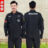 Осенняя демисезонная униформа, лонгслив