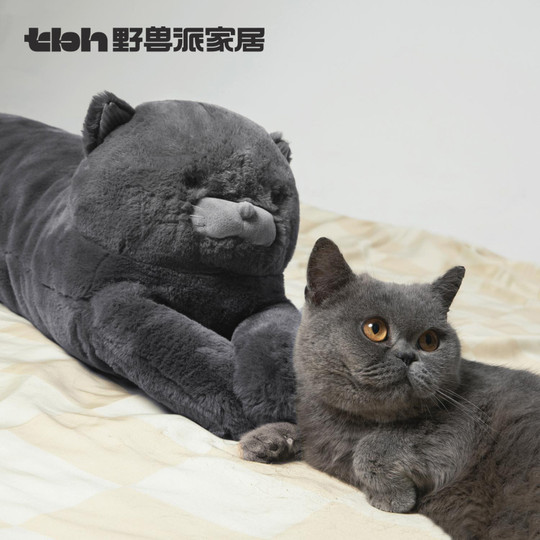 Tbh brutalist long pillow leg cushion