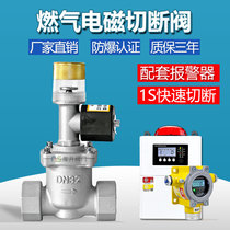 Industrial Commercial Hotel Kitchen gas electromagnetic emergency cut-off valve Natural gas pipe solenoid valve DN25 50