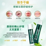 Mentholatum, мятный бальзам для губ, увлажняющий защитный гель, бесцветная базовая увлажняющая маска для губ подходит для мужчин и женщин, 8г, против трещин