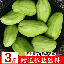 Spot Guangxi raw mango sour mango 3 catty fresh fruit raw to eat mango pickle spicy and sour wild ivory