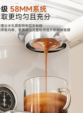Petrus/柏翠 PE3828GR意式咖啡机家用小型半自动一体海盐小方PRO