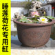 Extra large imitation purple sand plastic flowerpot